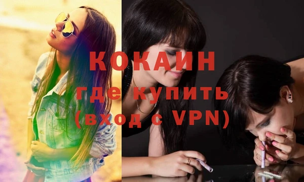 бошки Белокуриха