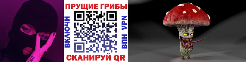 Псилоцибиновые грибы Magic Shrooms  Вятские Поляны 