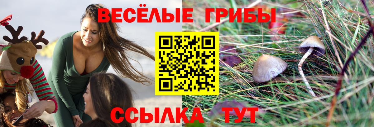 Псилоцибиновые грибы GOLDEN TEACHER  Вход с VPN  Галлюциногенные грибы мицелий  Вятские Поляны 